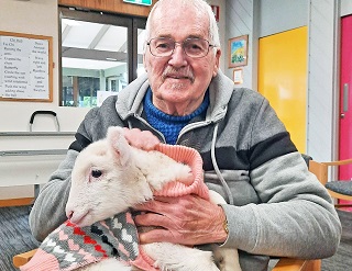 Spring Lambs Visit the Friday Club